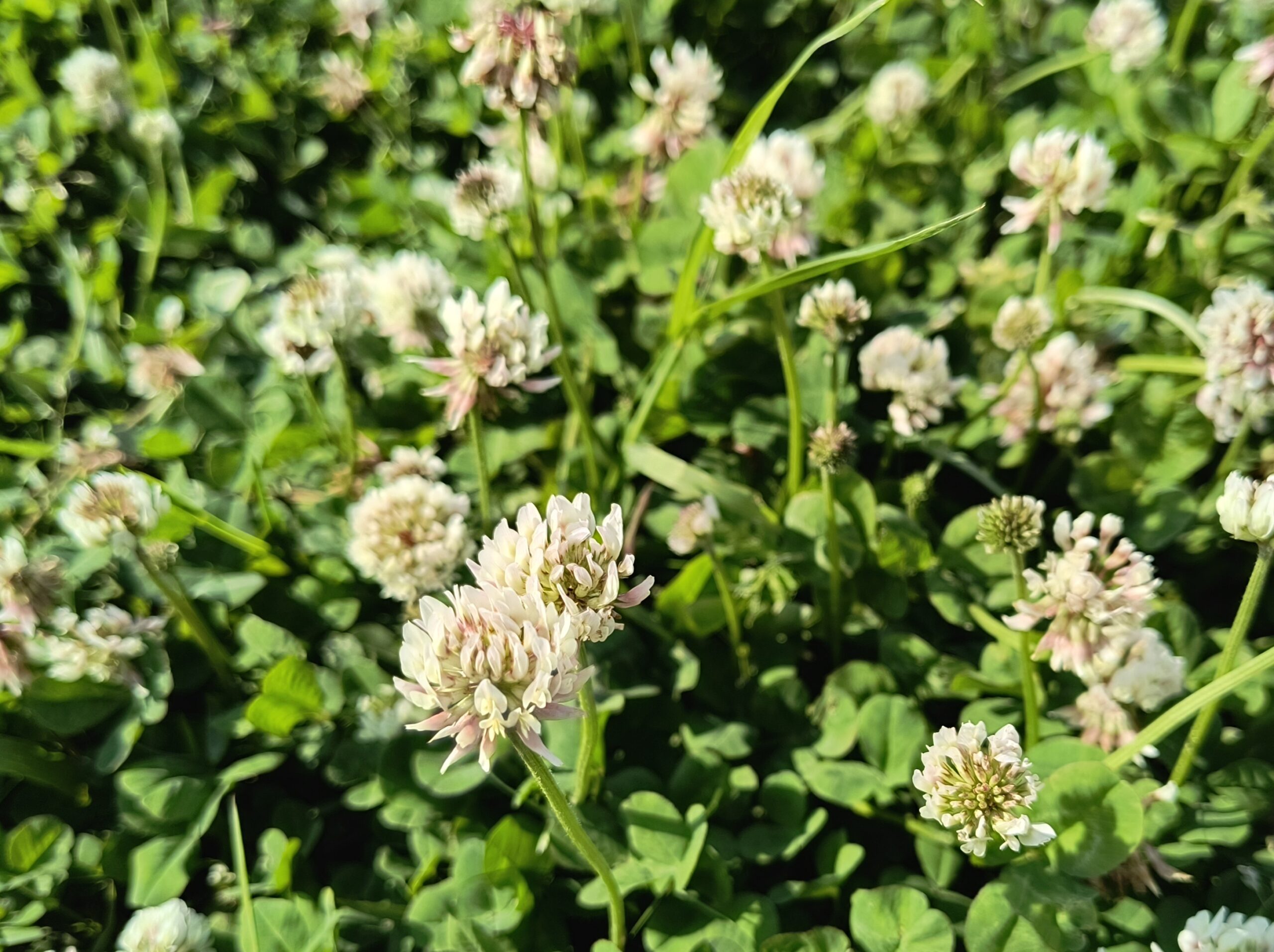 親子で遊べる公園まで徒歩１分！